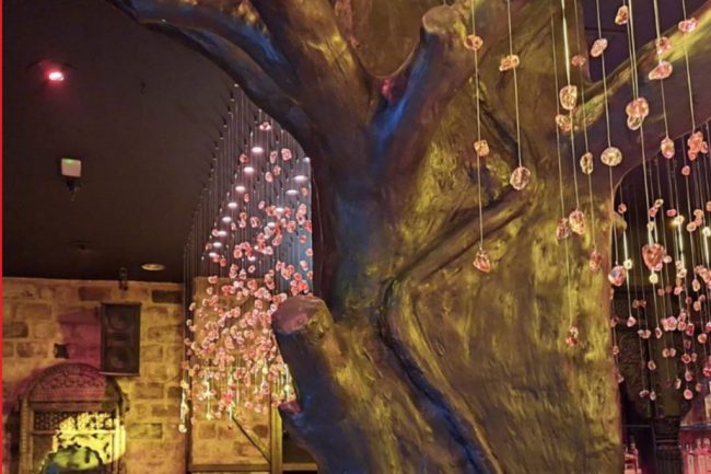 BEBACK STUDIO-OHM-ETNIC AMBIENT